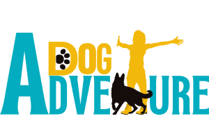 Dog Adventurs