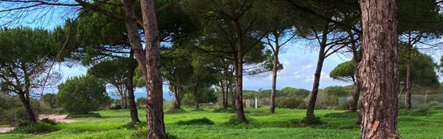 Visitar la Meeting Camper Portugal